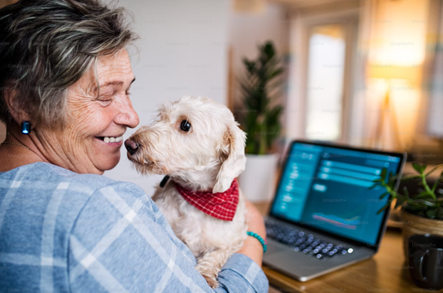 Why Senior Pets Make Exceptional Companions for Older Persons