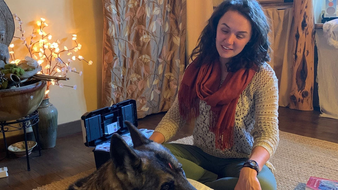 A Gentle Guide Through Goodbye: An Interview with Pet Hospice Veterinarian Dr Stephanie Freed