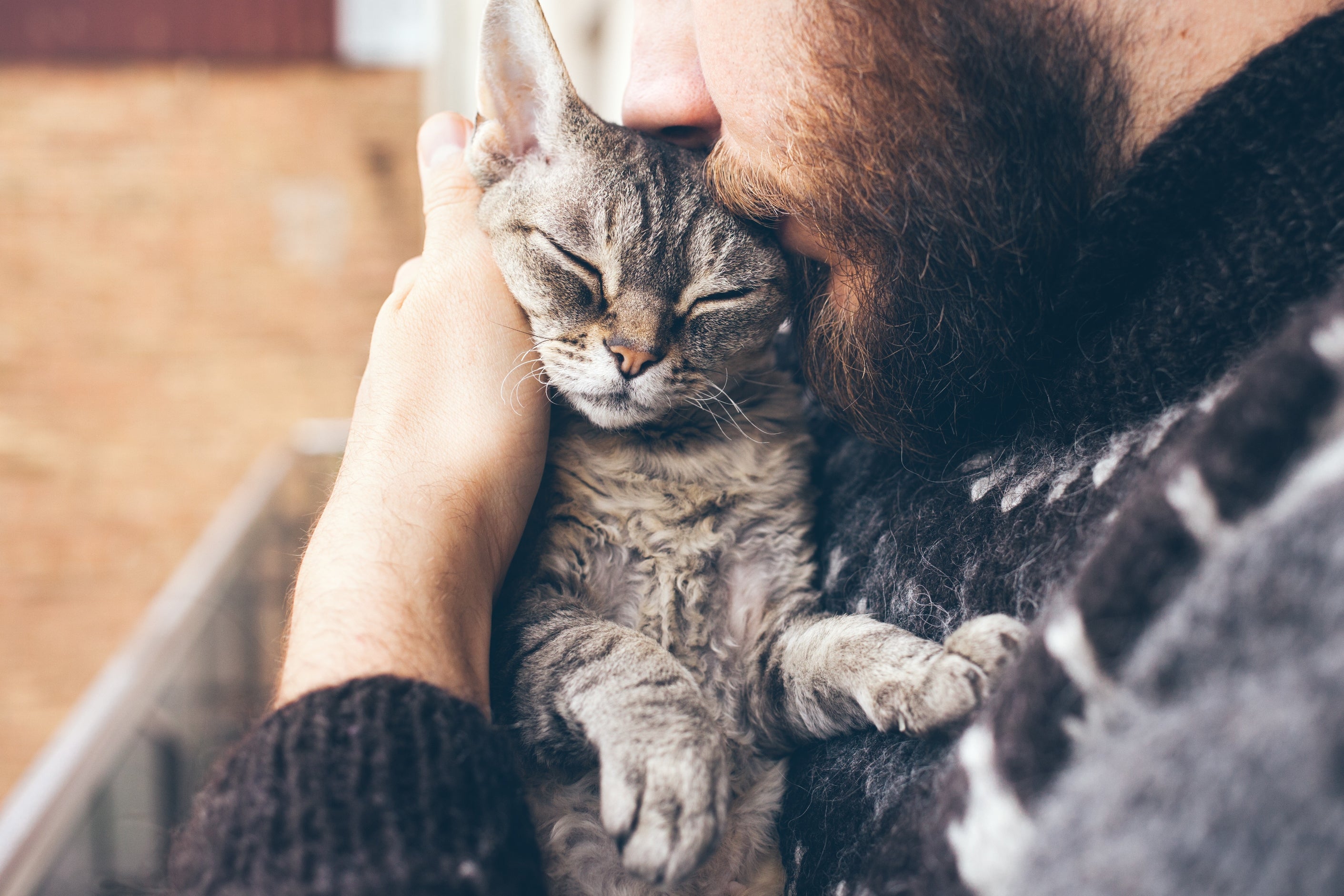 Choosing the best way to farewell your pet