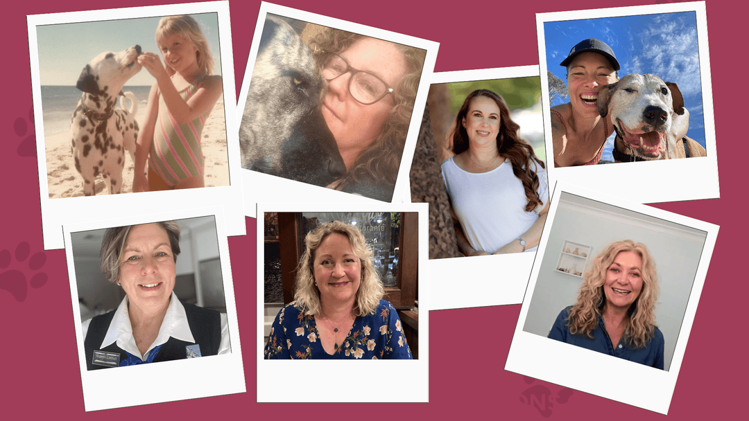 Our Favourite Stories of 2025: Sharing Gratitude &amp; Celebrating Wisdom