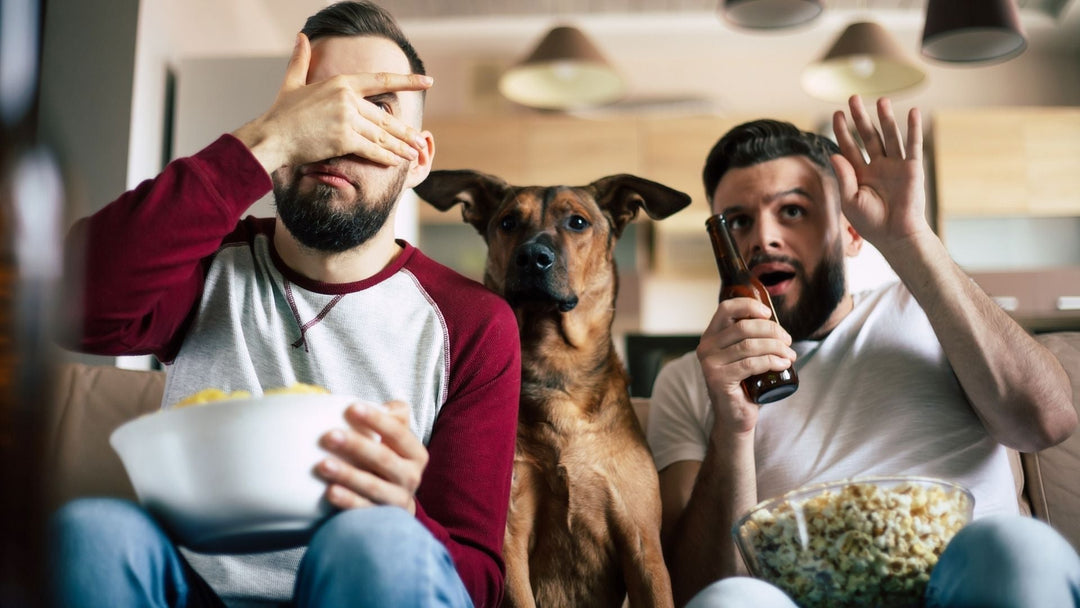 Santa Paws Approved: 10 Animal-Loving Movies Every Pet Parent Should Watch This Holiday Season