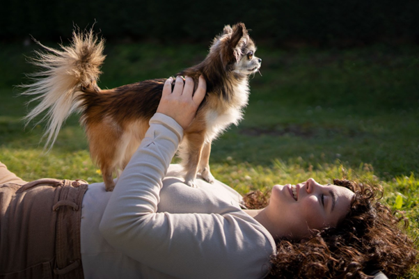 Beyond the Puppy Cuddles: Cultivating a Lifelong Emotional Connection with Your Dog