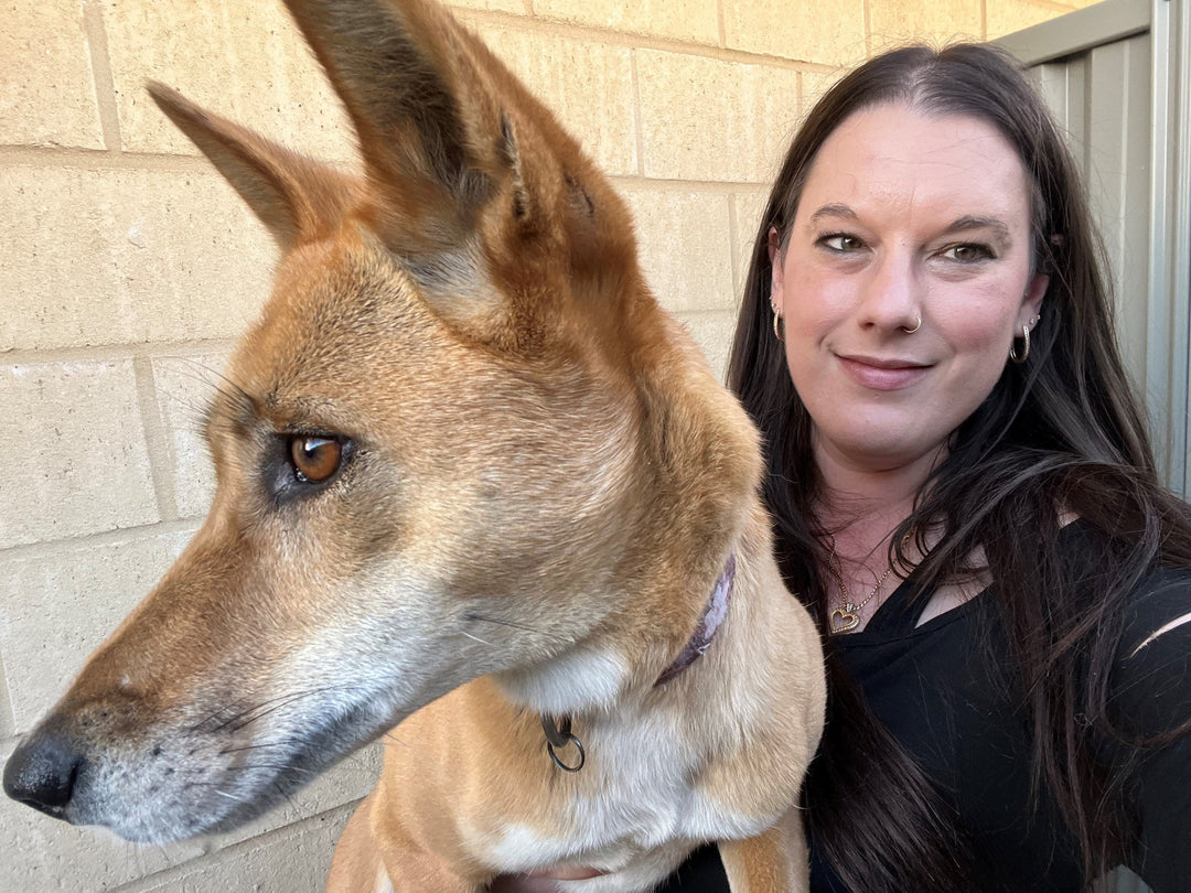 Inside the World of Dingo Ownership with Megan and Daisy