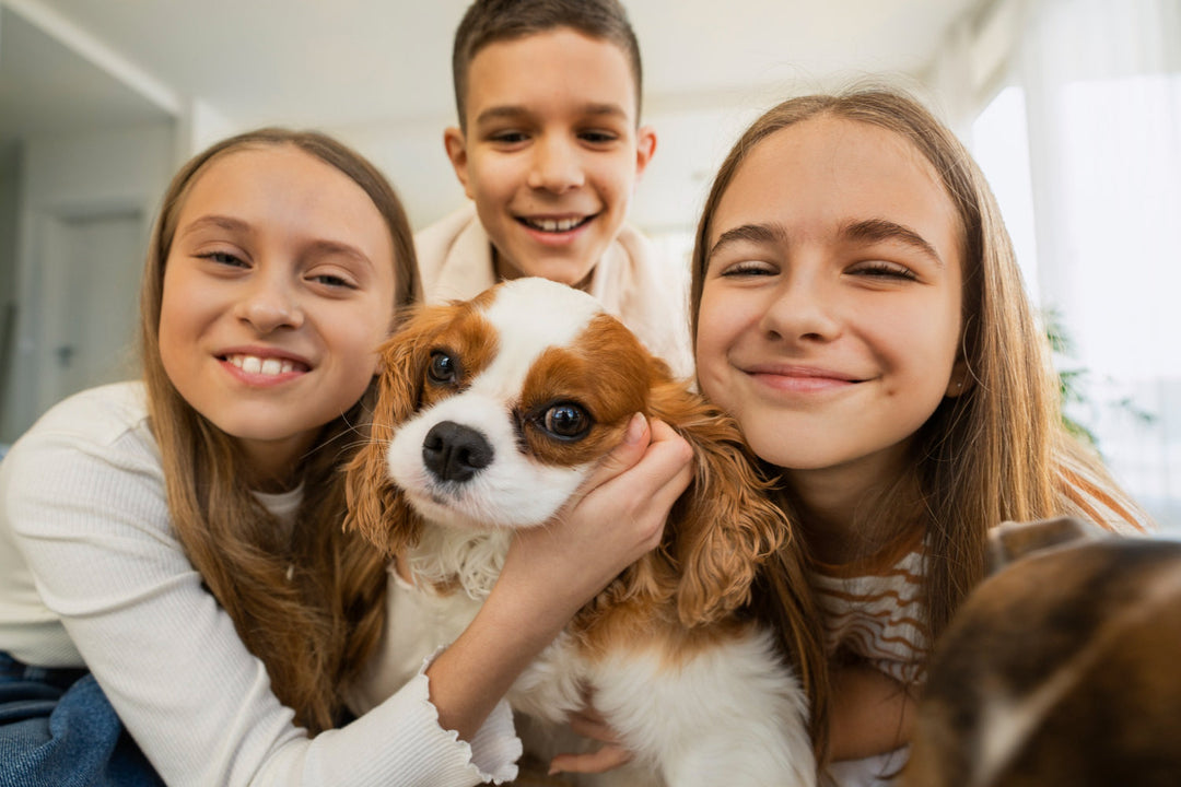 How Caring for a Senior Pet Can Teach Compassion to Kids