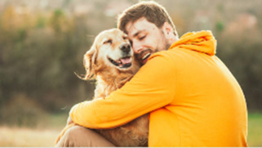 5 Easy Ways to Enrich the Life of You and Your Pet