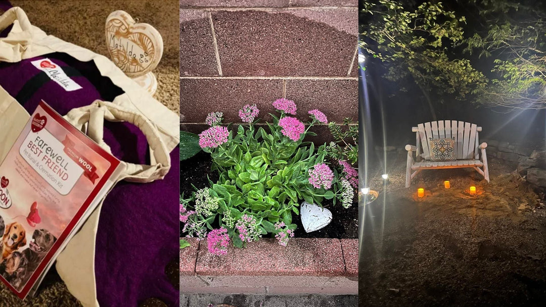 Choosing a Sustainable Pet Farewell: A Compassionate and Eco-Friendly Goodbye