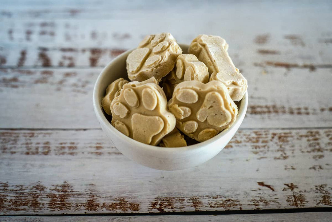 5 of The Best Home Made Senior Dog Meals