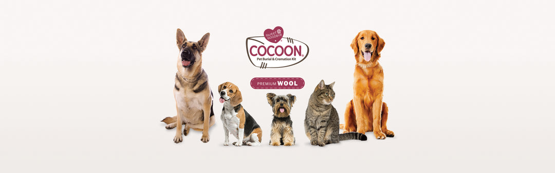 Sweet Goodbye COCOON Premium Wool