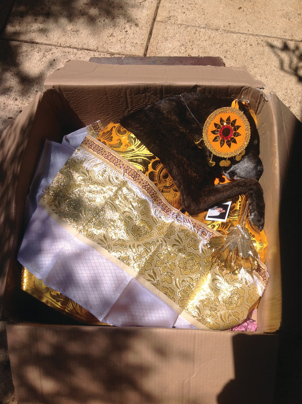 The Story of Sweet Goodbye | Pet Burial & Cremation Ceremony Kits ...